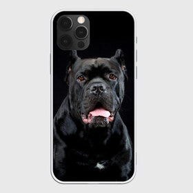 Чехол для iPhone 12 Pro Max с принтом Черный кан - корсо в Кировске, Силикон |  | animal | background | beast | black | breed | can   corso | cool | cute | dog | ears | fangs | jaw | look | muzzle | portrait | tongue | wool | взгляд | животное | зверь | кан   корсо | клыки | милый | пёс | порода | портрет | прикольно | псина | 