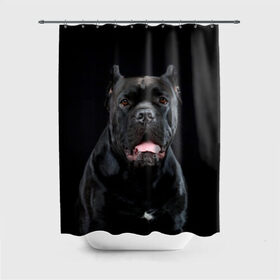 Штора 3D для ванной с принтом Черный кан - корсо в Кировске, 100% полиэстер | плотность материала — 100 г/м2. Стандартный размер — 146 см х 180 см. По верхнему краю — пластиковые люверсы для креплений. В комплекте 10 пластиковых колец | animal | background | beast | black | breed | can   corso | cool | cute | dog | ears | fangs | jaw | look | muzzle | portrait | tongue | wool | взгляд | животное | зверь | кан   корсо | клыки | милый | пёс | порода | портрет | прикольно | псина | 
