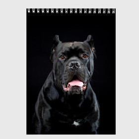 Скетчбук с принтом Черный кан - корсо в Кировске, 100% бумага
 | 48 листов, плотность листов — 100 г/м2, плотность картонной обложки — 250 г/м2. Листы скреплены сверху удобной пружинной спиралью | animal | background | beast | black | breed | can   corso | cool | cute | dog | ears | fangs | jaw | look | muzzle | portrait | tongue | wool | взгляд | животное | зверь | кан   корсо | клыки | милый | пёс | порода | портрет | прикольно | псина | 