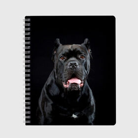 Тетрадь с принтом Черный кан - корсо в Кировске, 100% бумага | 48 листов, плотность листов — 60 г/м2, плотность картонной обложки — 250 г/м2. Листы скреплены сбоку удобной пружинной спиралью. Уголки страниц и обложки скругленные. Цвет линий — светло-серый
 | animal | background | beast | black | breed | can   corso | cool | cute | dog | ears | fangs | jaw | look | muzzle | portrait | tongue | wool | взгляд | животное | зверь | кан   корсо | клыки | милый | пёс | порода | портрет | прикольно | псина | 