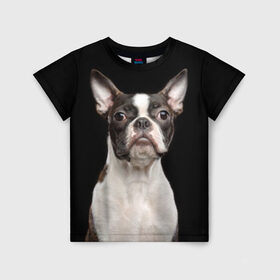 Детская футболка 3D с принтом Бостонский терьер в Кировске, 100% гипоаллергенный полиэфир | прямой крой, круглый вырез горловины, длина до линии бедер, чуть спущенное плечо, ткань немного тянется | Тематика изображения на принте: animal | background | beast | black | boston | breed | color | cool | cute | dog | ears | jaw | look | muzzle | pet | portrait | terrier | white | wool | белый | бостон | взгляд | животное | зверь | милый | пёс | питомец | порода | портрет | прико