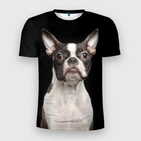 Мужская футболка 3D спортивная с принтом Бостонский терьер в Кировске, 100% полиэстер с улучшенными характеристиками | приталенный силуэт, круглая горловина, широкие плечи, сужается к линии бедра | Тематика изображения на принте: animal | background | beast | black | boston | breed | color | cool | cute | dog | ears | jaw | look | muzzle | pet | portrait | terrier | white | wool | белый | бостон | взгляд | животное | зверь | милый | пёс | питомец | порода | портрет | прико