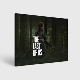 Холст прямоугольный с принтом THE LAST OF US ЭЛЛИ | ОДНИ ИЗ НАС ELLIE в Кировске, 100% ПВХ |  | Тематика изображения на принте: gamer | player | stels | the last of us | the last of us part 2 | бегун | джоэл | каннибалы | охотники | сталкер | топляк | цикады | щелкун | элли