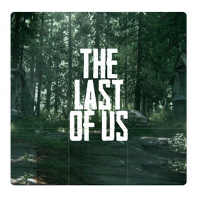 Магнитный плакат 3Х3 с принтом THE LAST OF US в Кировске, Полимерный материал с магнитным слоем | 9 деталей размером 9*9 см | gamer | player | stels | the last of us | the last of us part 2 | бегун | джоэл | каннибалы | охотники | сталкер | топляк | цикады | щелкун | элли