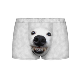 Мужские трусы 3D с принтом Собака - улыбака в Кировске, 50% хлопок, 50% полиэстер | классическая посадка, на поясе мягкая тканевая резинка | животные | зубы | мордочка | пес | прикол | смешная | собака | улыбака | улыбка | щенок | юмор