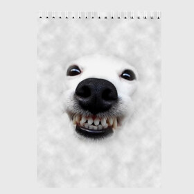 Скетчбук с принтом Собака - улыбака в Кировске, 100% бумага
 | 48 листов, плотность листов — 100 г/м2, плотность картонной обложки — 250 г/м2. Листы скреплены сверху удобной пружинной спиралью | животные | зубы | мордочка | пес | прикол | смешная | собака | улыбака | улыбка | щенок | юмор