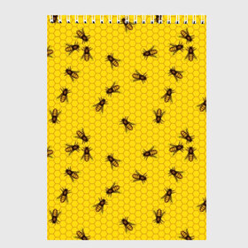 Скетчбук с принтом Пчелы в сотах в Кировске, 100% бумага
 | 48 листов, плотность листов — 100 г/м2, плотность картонной обложки — 250 г/м2. Листы скреплены сверху удобной пружинной спиралью | Тематика изображения на принте: bee | beehive | brown | bug | honey | honeycomb | insect | toiler | yellow | букашка | желтый | коричневый | мёд | насекомое | пчела | соты | труженик | улей
