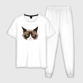 Мужская пижама хлопок с принтом Сердитый котик,Grumpy cat в Кировске, 100% хлопок | брюки и футболка прямого кроя, без карманов, на брюках мягкая резинка на поясе и по низу штанин
 | 