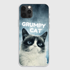 Чехол для iPhone 12 Pro с принтом Grumpy Cat в Кировске, силикон | область печати: задняя сторона чехла, без боковых панелей | кот | котики | коты | мем | мемы | сердитый кот