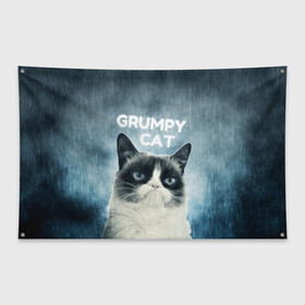 Флаг-баннер с принтом Grumpy Cat в Кировске, 100% полиэстер | размер 67 х 109 см, плотность ткани — 95 г/м2; по краям флага есть четыре люверса для крепления | кот | котики | коты | мем | мемы | сердитый кот