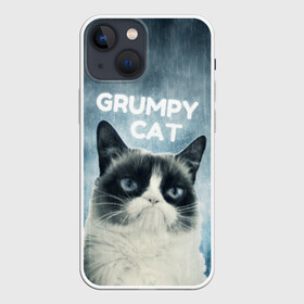 Чехол для iPhone 13 mini с принтом Grumpy Cat в Кировске,  |  | кот | котики | коты | мем | мемы | сердитый кот