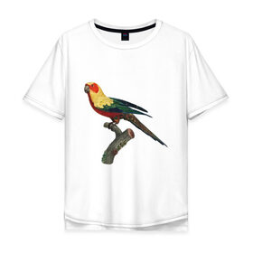 Мужская футболка хлопок Oversize с принтом Попугай. Аратинга. в Кировске, 100% хлопок | свободный крой, круглый ворот, “спинка” длиннее передней части | аратинга | бразилия | зоозащита | попугаи | попугайчики | природа | птица | птицы | солнечный