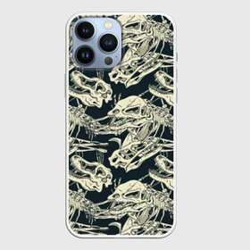 Чехол для iPhone 13 Pro Max с принтом Черепа динозавров в Кировске,  |  | animal | black | dinosaur | predator | skeleton | skull | white | белый | динозавр | животное | скелет | хищник | череп | черный