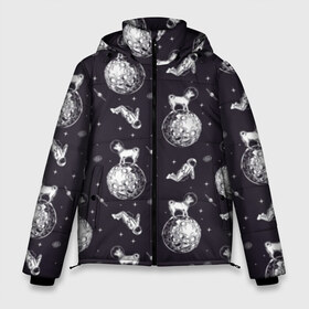 Мужская зимняя куртка 3D с принтом Собаки - астронавты в Кировске, верх — 100% полиэстер; подкладка — 100% полиэстер; утеплитель — 100% полиэстер | длина ниже бедра, свободный силуэт Оверсайз. Есть воротник-стойка, отстегивающийся капюшон и ветрозащитная планка. 

Боковые карманы с листочкой на кнопках и внутренний карман на молнии. | astronaut | black | breed | chihuahua | dog | flight | galaxy | helmet | planet | space | spacesuit | white | астронавт | белый | галактика | космос | пёс | планета | полёт | порода | скафандр | собака | черный | чихуахуа | шлем