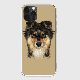 Чехол для iPhone 12 Pro Max с принтом Sheltie в Кировске, Силикон |  | animal | black | breed | brown | cute | dog | drawing | eyes | kind | look | muzzle | portrait | red | взгляд | глаза | добрый | животное | коричневый | милый | пёс | порода | портрет | рисунок | рыжий | собака | черный | шелти