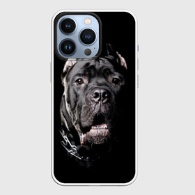 Чехол для iPhone 13 Pro с принтом Мастиф в Кировске,  |  | animal | black | collar | dog | friend | look | man | muzzle | взгляд | друг | животное | мастиф | ошейник | пёс | собака | человека | черный