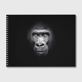 Альбом для рисования с принтом Горилла в Кировске, 100% бумага
 | матовая бумага, плотность 200 мг. | Тематика изображения на принте: animal | black | eyes | fauna | gorilla | gray | look | monkey | muzzle | primate | взгляд | глаза | горилла | животное | обезьяна | примат | серый | фауна | черный