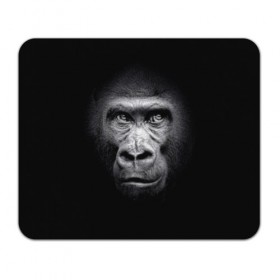 Коврик для мышки прямоугольный с принтом Горилла в Кировске, натуральный каучук | размер 230 х 185 мм; запечатка лицевой стороны | Тематика изображения на принте: animal | black | eyes | fauna | gorilla | gray | look | monkey | muzzle | primate | взгляд | глаза | горилла | животное | обезьяна | примат | серый | фауна | черный