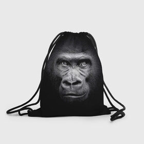 Рюкзак-мешок 3D с принтом Горилла в Кировске, 100% полиэстер | плотность ткани — 200 г/м2, размер — 35 х 45 см; лямки — толстые шнурки, застежка на шнуровке, без карманов и подкладки | animal | black | eyes | fauna | gorilla | gray | look | monkey | muzzle | primate | взгляд | глаза | горилла | животное | обезьяна | примат | серый | фауна | черный