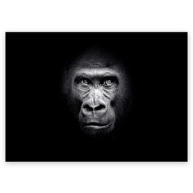 Поздравительная открытка с принтом Горилла в Кировске, 100% бумага | плотность бумаги 280 г/м2, матовая, на обратной стороне линовка и место для марки
 | Тематика изображения на принте: animal | black | eyes | fauna | gorilla | gray | look | monkey | muzzle | primate | взгляд | глаза | горилла | животное | обезьяна | примат | серый | фауна | черный