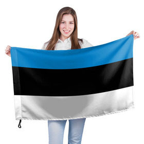 Флаг 3D с принтом Эстония. Флаг. в Кировске, 100% полиэстер | плотность ткани — 95 г/м2, размер — 67 х 109 см. Принт наносится с одной стороны | балтии | государство | прибалтика | республика | снг | ссср | страна | страны | эстония