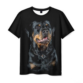 Мужская футболка 3D с принтом Ротвейлер в Кировске, 100% полиэфир | прямой крой, круглый вырез горловины, длина до линии бедер | animal | black | breed | collar | dog | friend | glance | gloss | man | muzzle | rottweiler | взгляд | друг | животное | лоск | ошейник | пёс | порода | ротвейлер | собака | человека | черный