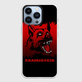 Чехол для iPhone 13 Pro с принтом Rammstein dog в Кировске,  |  | 2019 | dog | du hast | german | lindemann | rammstein | rammsteinfan | ramstein | till | группы | линдеманн | метал | музыка | овчарка | рамштаин | рамштайн | рамштейн | рок | собака | тилль | тиль