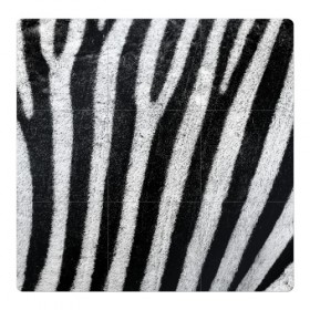 Магнитный плакат 3Х3 с принтом Zebra Skin в Кировске, Полимерный материал с магнитным слоем | 9 деталей размером 9*9 см | animal | black | black white | pattern. | skin | streaks | texture | white | zebra | белый | животное | животные | зебра | полосы | текстура | узор | чёрно белые | чёрный