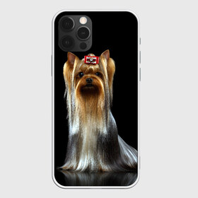 Чехол для iPhone 12 Pro Max с принтом Йоркширский терьер в Кировске, Силикон |  | animal | barrette | breed | cute | dog | funny | muzzle | small | terrier | yorkshire | животное | забавный | заколка | йоркширский | маленький | милый | порода | смешной | собака | терьер