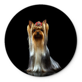 Коврик для мышки круглый с принтом Йоркширский терьер в Кировске, резина и полиэстер | круглая форма, изображение наносится на всю лицевую часть | Тематика изображения на принте: animal | barrette | breed | cute | dog | funny | muzzle | small | terrier | yorkshire | животное | забавный | заколка | йоркширский | маленький | милый | порода | смешной | собака | терьер