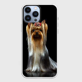 Чехол для iPhone 13 Pro Max с принтом Йоркширский терьер в Кировске,  |  | Тематика изображения на принте: animal | barrette | breed | cute | dog | funny | muzzle | small | terrier | yorkshire | животное | забавный | заколка | йоркширский | маленький | милый | порода | смешной | собака | терьер