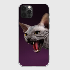Чехол для iPhone 12 Pro Max с принтом Сфинкс в Кировске, Силикон |  | aggressive | angry | animal | bald | breed | cat | dangerous | fangs | gray | purple | sphinx | агрессивный | животное | злой | клыки | кот | лысый | опасный | порода | серый | сфинкс | фиолетовый