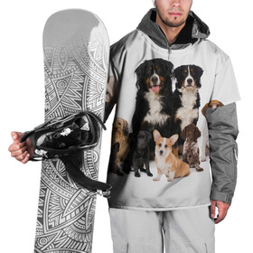 Накидка на куртку 3D с принтом Породистые собаки в Кировске, 100% полиэстер |  | animal | bernese | breed | bulldog | corgi | cute | dog | french | funny | jack | labrador | mountain dog | muzzle | paws | pug | puppy | spaniel | бернский | бульдог | джек рассел | животное | забавный | зенненхунд | корги | лабрадор | лапы | милый