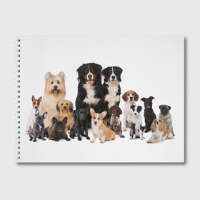 Альбом для рисования с принтом Породистые собаки в Кировске, 100% бумага
 | матовая бумага, плотность 200 мг. | animal | bernese | breed | bulldog | corgi | cute | dog | french | funny | jack | labrador | mountain dog | muzzle | paws | pug | puppy | spaniel | бернский | бульдог | джек рассел | животное | забавный | зенненхунд | корги | лабрадор | лапы | милый