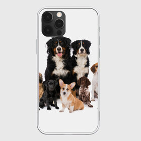 Чехол для iPhone 12 Pro Max с принтом Породистые собаки в Кировске, Силикон |  | animal | bernese | breed | bulldog | corgi | cute | dog | french | funny | jack | labrador | mountain dog | muzzle | paws | pug | puppy | spaniel | бернский | бульдог | джек рассел | животное | забавный | зенненхунд | корги | лабрадор | лапы | милый