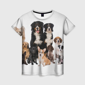 Женская футболка 3D с принтом Породистые собаки в Кировске, 100% полиэфир ( синтетическое хлопкоподобное полотно) | прямой крой, круглый вырез горловины, длина до линии бедер | animal | bernese | breed | bulldog | corgi | cute | dog | french | funny | jack | labrador | mountain dog | muzzle | paws | pug | puppy | spaniel | бернский | бульдог | джек рассел | животное | забавный | зенненхунд | корги | лабрадор | лапы | милый