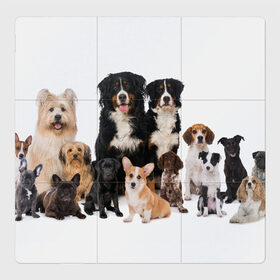 Магнитный плакат 3Х3 с принтом Породистые собаки в Кировске, Полимерный материал с магнитным слоем | 9 деталей размером 9*9 см | Тематика изображения на принте: animal | bernese | breed | bulldog | corgi | cute | dog | french | funny | jack | labrador | mountain dog | muzzle | paws | pug | puppy | spaniel | бернский | бульдог | джек рассел | животное | забавный | зенненхунд | корги | лабрадор | лапы | милый