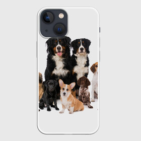 Чехол для iPhone 13 mini с принтом Породистые собаки в Кировске,  |  | animal | bernese | breed | bulldog | corgi | cute | dog | french | funny | jack | labrador | mountain dog | muzzle | paws | pug | puppy | spaniel | бернский | бульдог | джек рассел | животное | забавный | зенненхунд | корги | лабрадор | лапы | милый