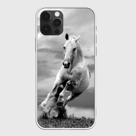 Чехол для iPhone 12 Pro Max с принтом Белая лошадь в Кировске, Силикон |  | animal | beautiful | gloss | horse | mane | mustang | muzzle | nature | white | wild | белый | грива | дикий | животное | конь | красивый | лоск | лошадь | мустанг | природа | скакун