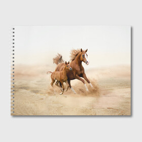 Альбом для рисования с принтом Лошадь с жеребенком в Кировске, 100% бумага
 | матовая бумага, плотность 200 мг. | Тематика изображения на принте: animal | baby | beautiful | brown | desert | foal | horse | mustang | nature | wild | дикий | жеребенок | животное | конь | коричневый | красивый | лошадь | малыш | мустанг | природа | пустыня | скакун