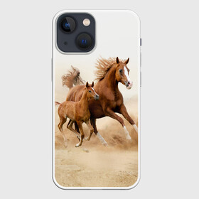 Чехол для iPhone 13 mini с принтом Лошадь с жеребенком в Кировске,  |  | animal | baby | beautiful | brown | desert | foal | horse | mustang | nature | wild | дикий | жеребенок | животное | конь | коричневый | красивый | лошадь | малыш | мустанг | природа | пустыня | скакун