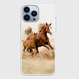 Чехол для iPhone 13 Pro Max с принтом Лошадь с жеребенком в Кировске,  |  | animal | baby | beautiful | brown | desert | foal | horse | mustang | nature | wild | дикий | жеребенок | животное | конь | коричневый | красивый | лошадь | малыш | мустанг | природа | пустыня | скакун