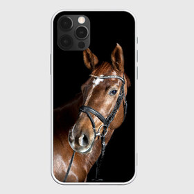 Чехол для iPhone 12 Pro Max с принтом Гнедая лошадь в Кировске, Силикон |  | animal | beautiful | black | brown | eyes | gloss | horse | look | muscles | muzzle | portrait | взгляд | глаза | гнедая | животное | конь | коричневый | красивый | лоск | лошадь | мускулы | портрет | скакун | черный