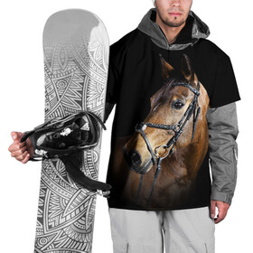 Накидка на куртку 3D с принтом Гнедая лошадь в Кировске, 100% полиэстер |  | Тематика изображения на принте: animal | beautiful | black | brown | eyes | gloss | harness | horse | look | muzzle | взгляд | глаза | гнедая | гнедой | животное | конь | коричневый | красивый | лоск | лошадь | сбруя | скакун | черный
