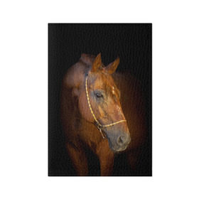 Обложка для паспорта матовая кожа с принтом Гнедая лошадь в Кировске, натуральная матовая кожа | размер 19,3 х 13,7 см; прозрачные пластиковые крепления | Тематика изображения на принте: animal | beautiful | black | brown | eyes | gloss | harness | horse | look | muzzle | взгляд | глаза | гнедой | животное | конь | коричневый | красивый | лоск | лошадь | сбруя | скакун | черный