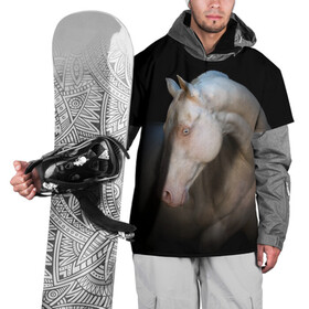 Накидка на куртку 3D с принтом Белая лошадь в Кировске, 100% полиэстер |  | Тематика изображения на принте: animal | black | breed | horse | muscle | muzzle | strength | unusual | white | белый | животное | конь | лошадь | мышцы | необычный | порода | сила | скакун