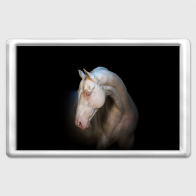 Магнит 45*70 с принтом Белая лошадь в Кировске, Пластик | Размер: 78*52 мм; Размер печати: 70*45 | animal | black | breed | horse | muscle | muzzle | strength | unusual | white | белый | животное | конь | лошадь | мышцы | необычный | порода | сила | скакун