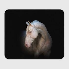 Коврик для мышки прямоугольный с принтом Белая лошадь в Кировске, натуральный каучук | размер 230 х 185 мм; запечатка лицевой стороны | animal | black | breed | horse | muscle | muzzle | strength | unusual | white | белый | животное | конь | лошадь | мышцы | необычный | порода | сила | скакун