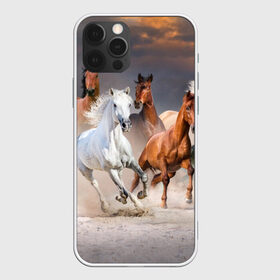 Чехол для iPhone 12 Pro Max с принтом Табун в Кировске, Силикон |  | animal | beautiful | black | brown | desert | gloss | herd | horse | mane | mustang | muzzle | nature | sand | white | wild | белый | грива | дикий | животное | конь | коричневый | красивый | лоск | лошадь | мустанг | песок | природа | пусты