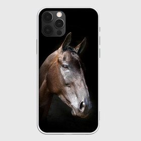 Чехол для iPhone 12 Pro Max с принтом Лошадь в Кировске, Силикон |  | Тематика изображения на принте: animal | beautiful | black | brown | horse | muzzle | portrait | животное | конь | коричневый | красивый | лошадь | портрет | скакун | черный
